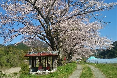 瀬戸ノ谷の自然　リンク